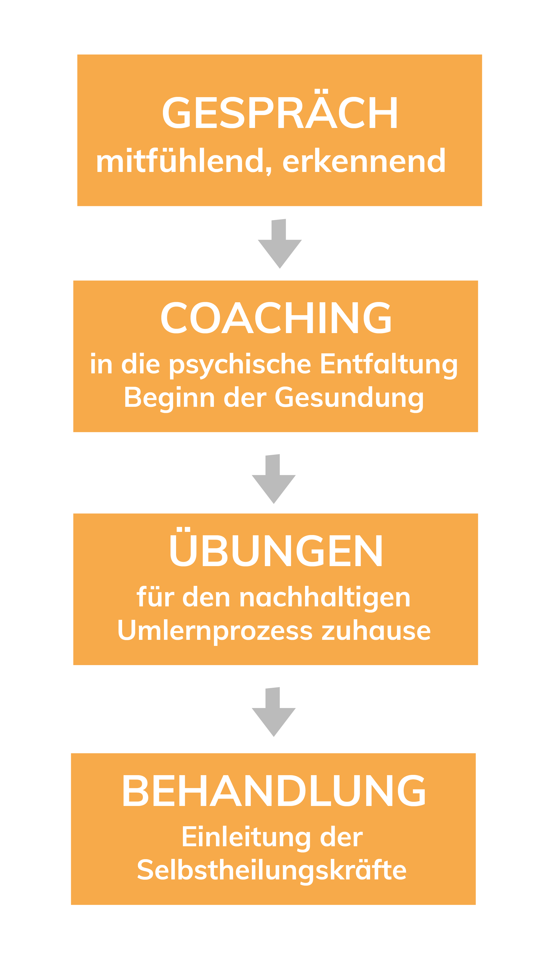 Coaching, Heilsitzung